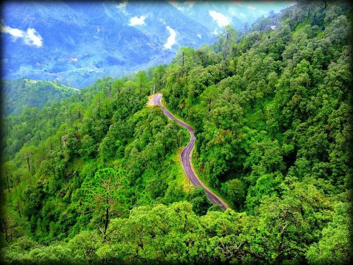 Salubrious weather and lush green environment at Lansdowne Uttranchal