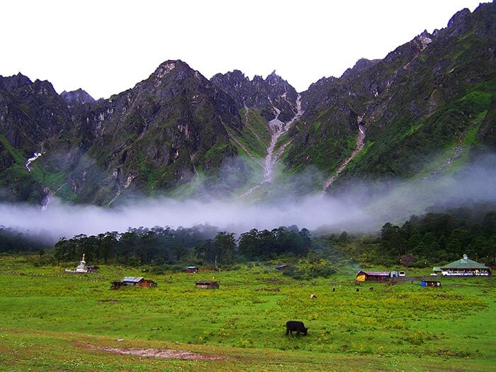Steam coming out of Phurchachu Reshi Hot Spring in Gangtok