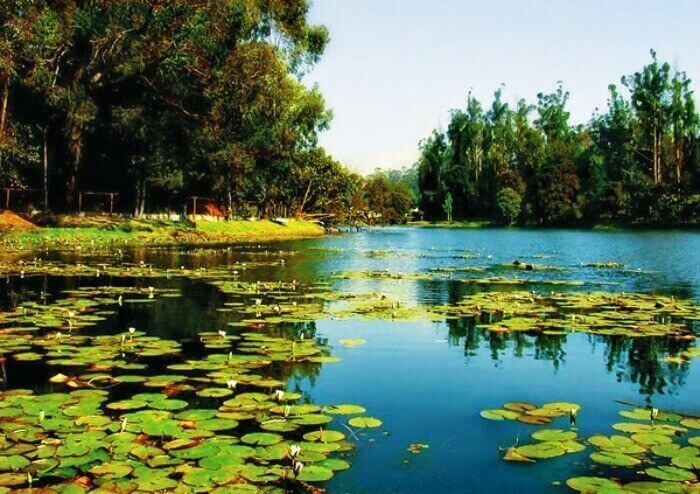 Floating restaurant in the Veli Lake, Kerala