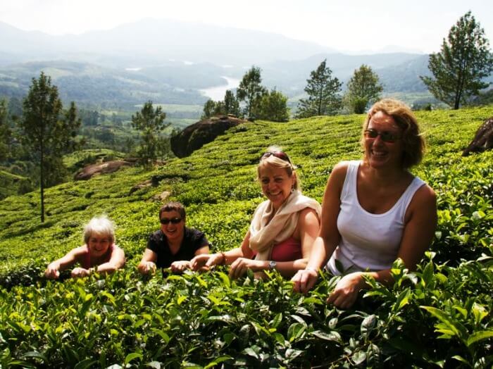 Take a tour of the spice plantations or gardens in Munnar, Thekkady, Kerala
