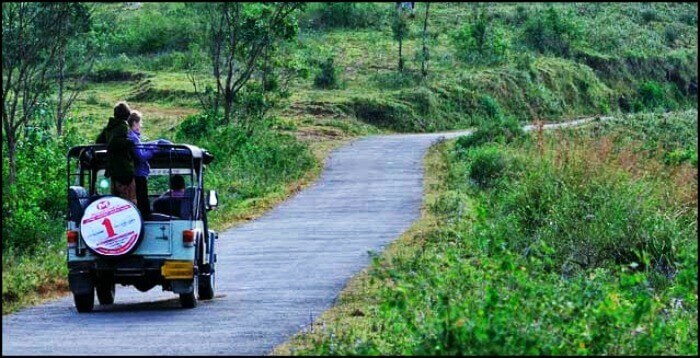 Periyar Jungle Jeep Ride covers the views of the lovely Idukki town, Mullaperiyar Dam of Kerala