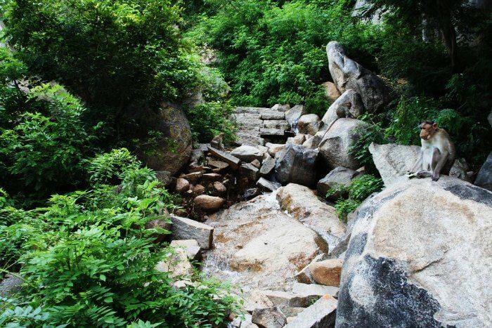 From our list of places to see in a day around Bangalore, Anthargange is the unexplored trekker’s paradise