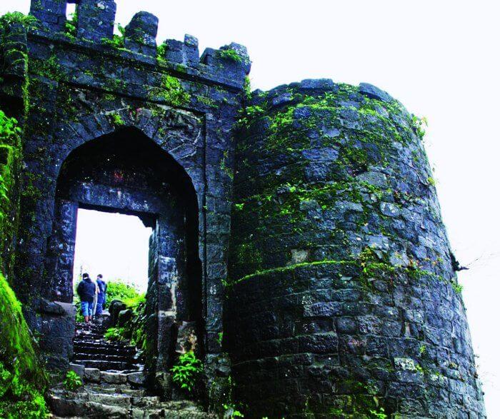 Sinhagad Fort is one of the best places to visit near Pune and Mumbai in monsoons