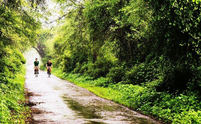 Bicycle ride in Bharatpur bird snctuary