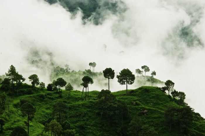 the misty hills of Kasauli, one of the most gorgeous places to visit near Delhi in monsoon