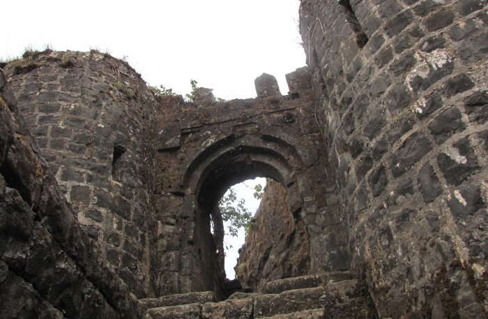 Tikona Fort View