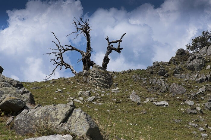 A steep climb on the Triund trek that is marked by rocks and boulders