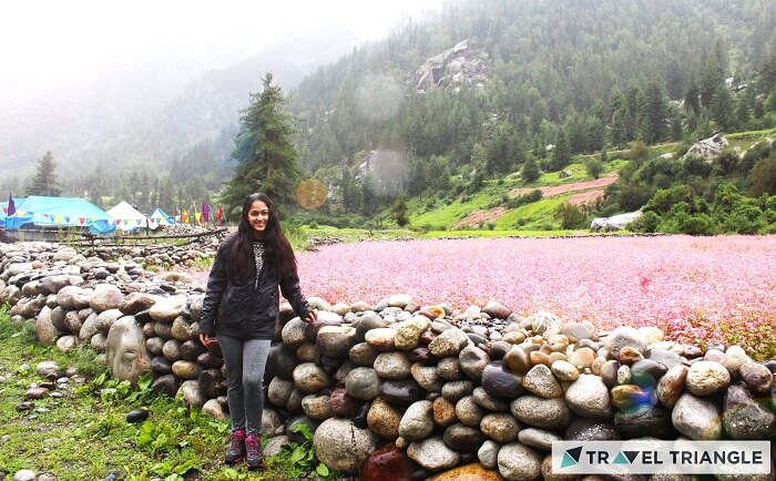 Lehan amidst rivers and mountains of Himachal