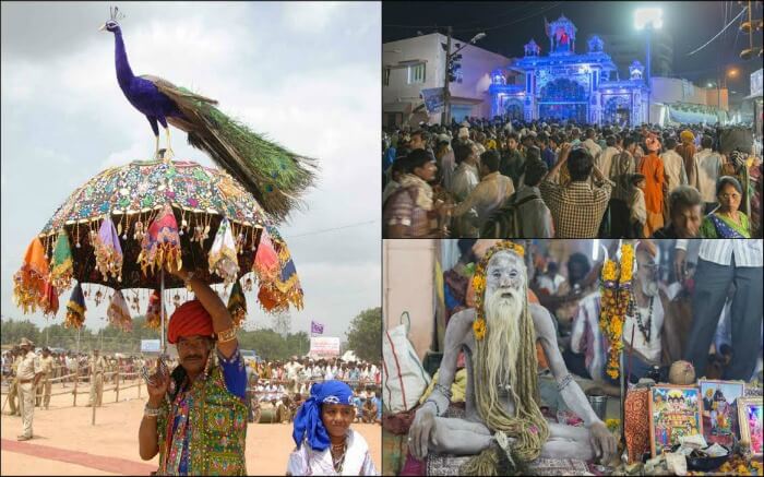 A glimpse of Bhavnath Fair