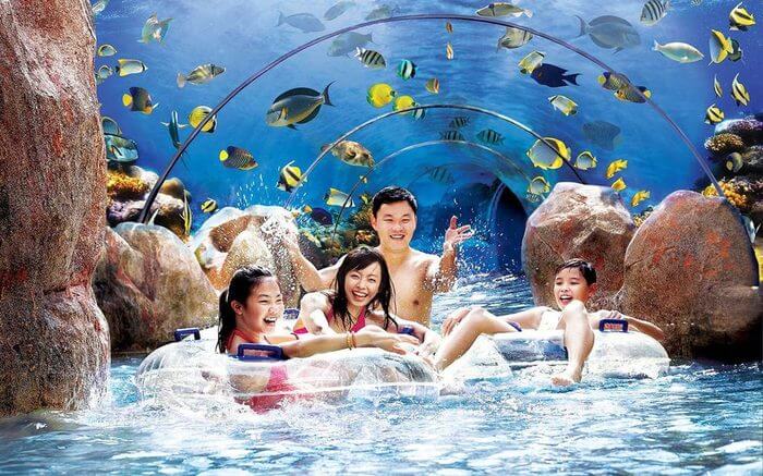 Adventure Cove Waterpark