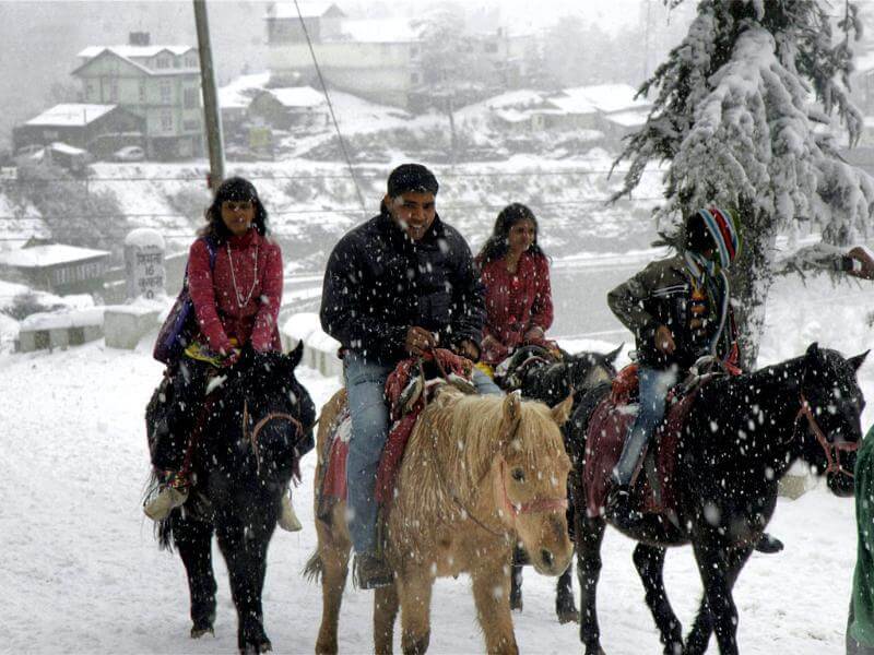 people enjoying horse ride in snowfall