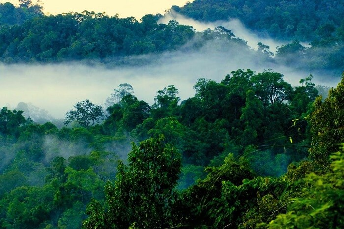 visit Nelliyampathy Hills palakkad