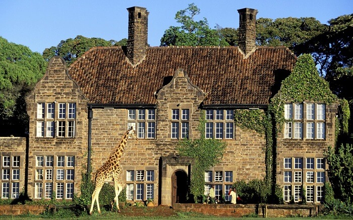 acj-3005-giraaffe-manor-kenya (12)