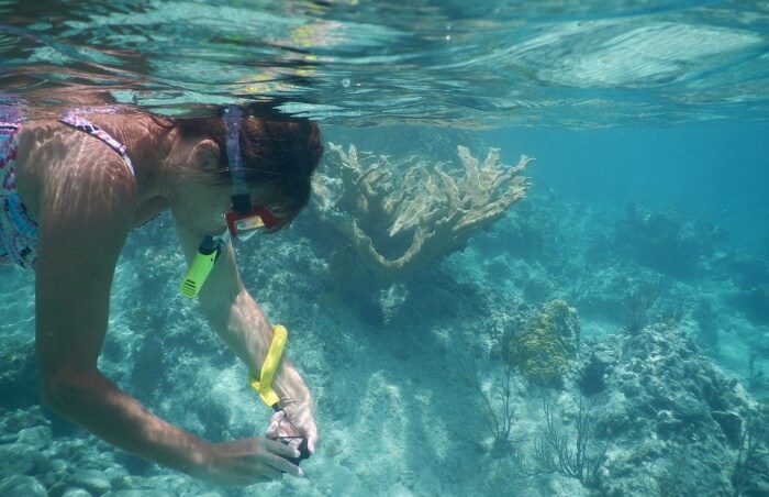 Snorkelling