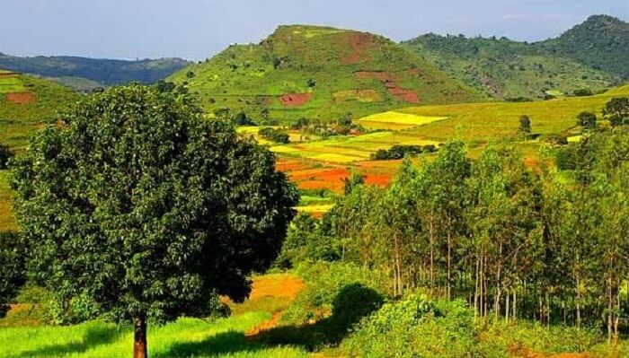 araku valley