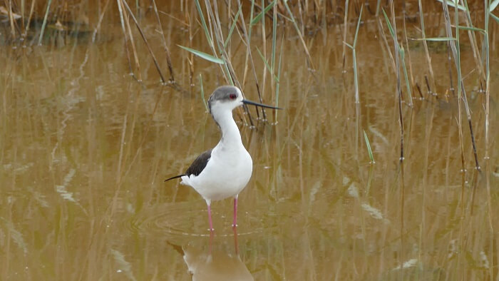 Absheron National Park