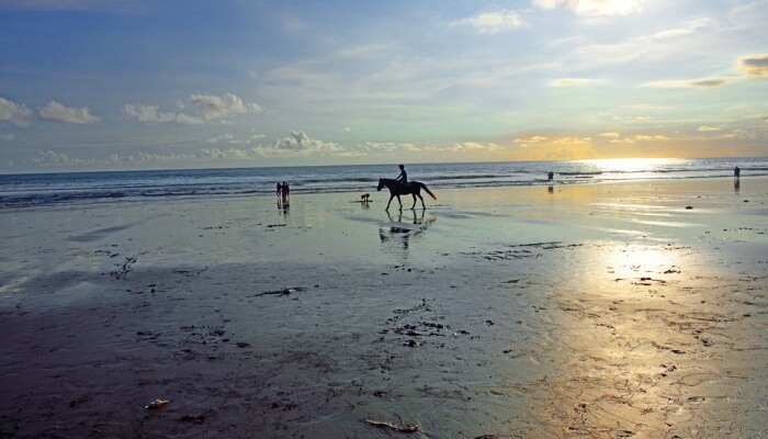 Beach Hopping