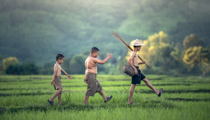 Thai Countryside
