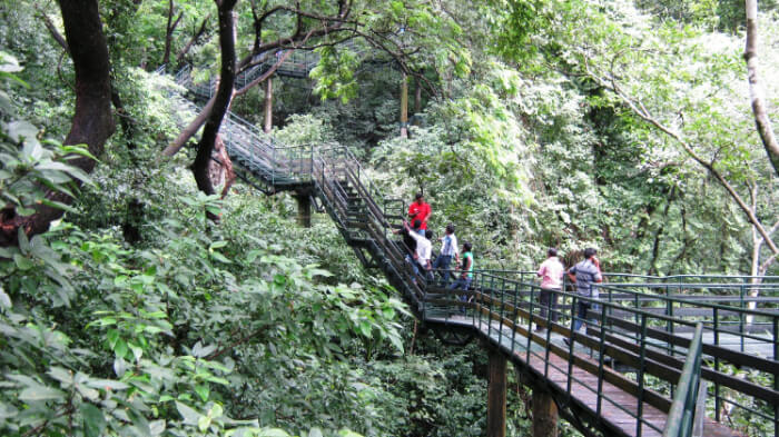 Thenmala view