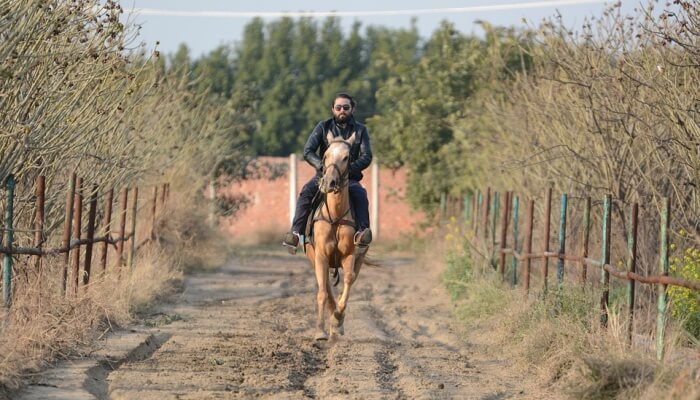 Horse Riding