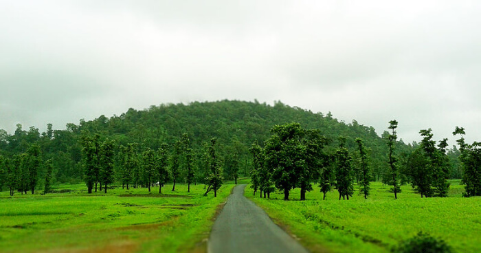 Green hills