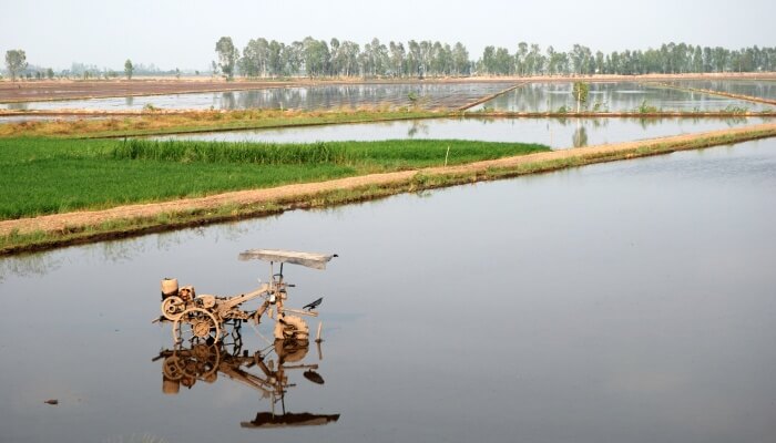 Mekong Delta and is one of the best things to do in Vietnam in September