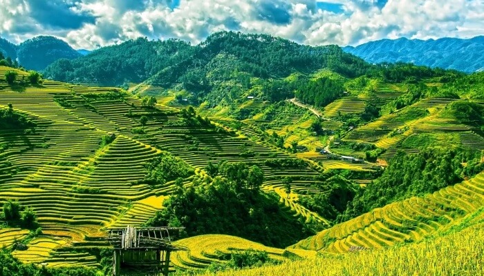 Mu Cang Chai during September is a must