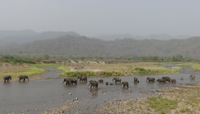 Ramganga river is a small tributary