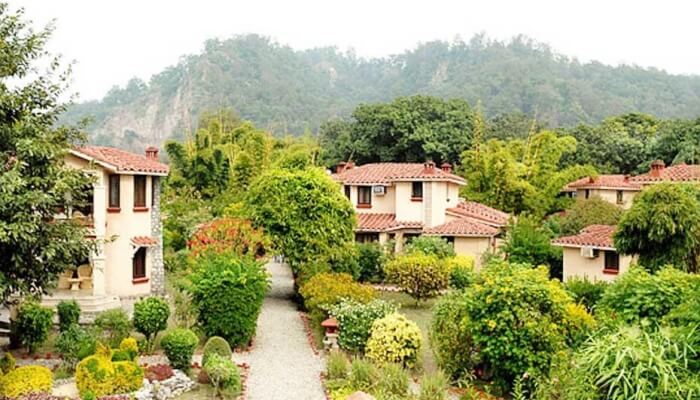 lush-green jungles of the Jim Corbett National Park