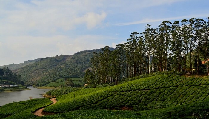 Meghamalai